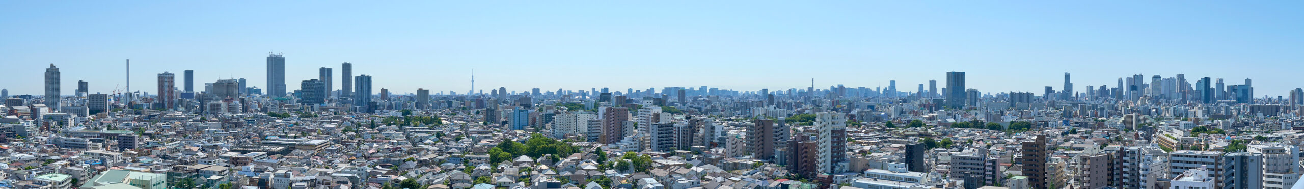 ザ・パークハビオ 目白タワーからの眺めの画像